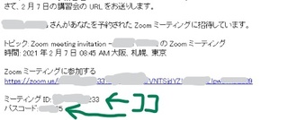zoom-b05.jpg