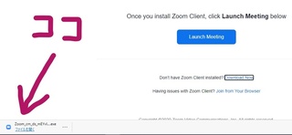 zoom02.jpg